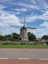 Edam