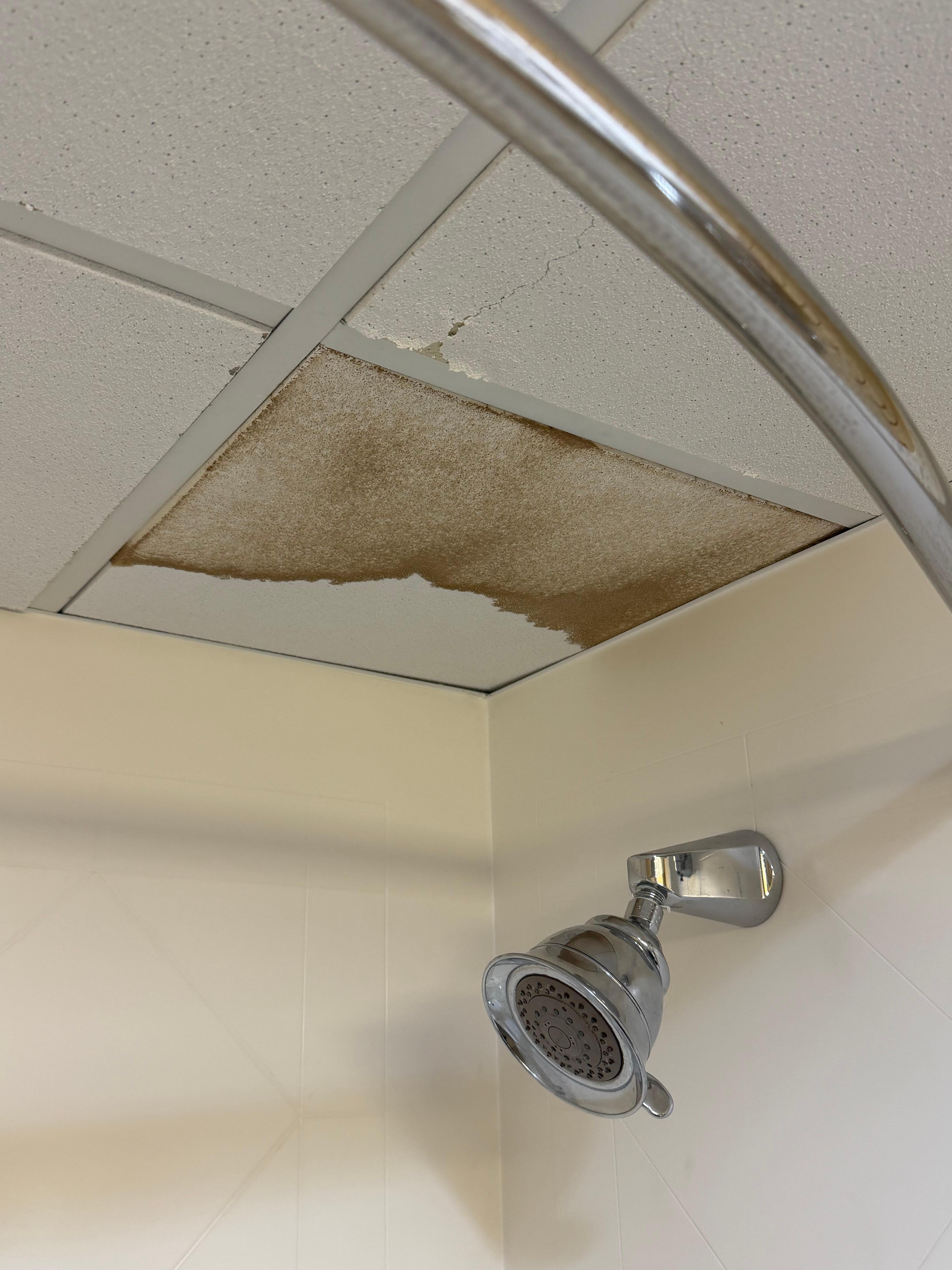 Our bathroom ceiling. 