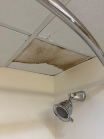 Our bathroom ceiling.