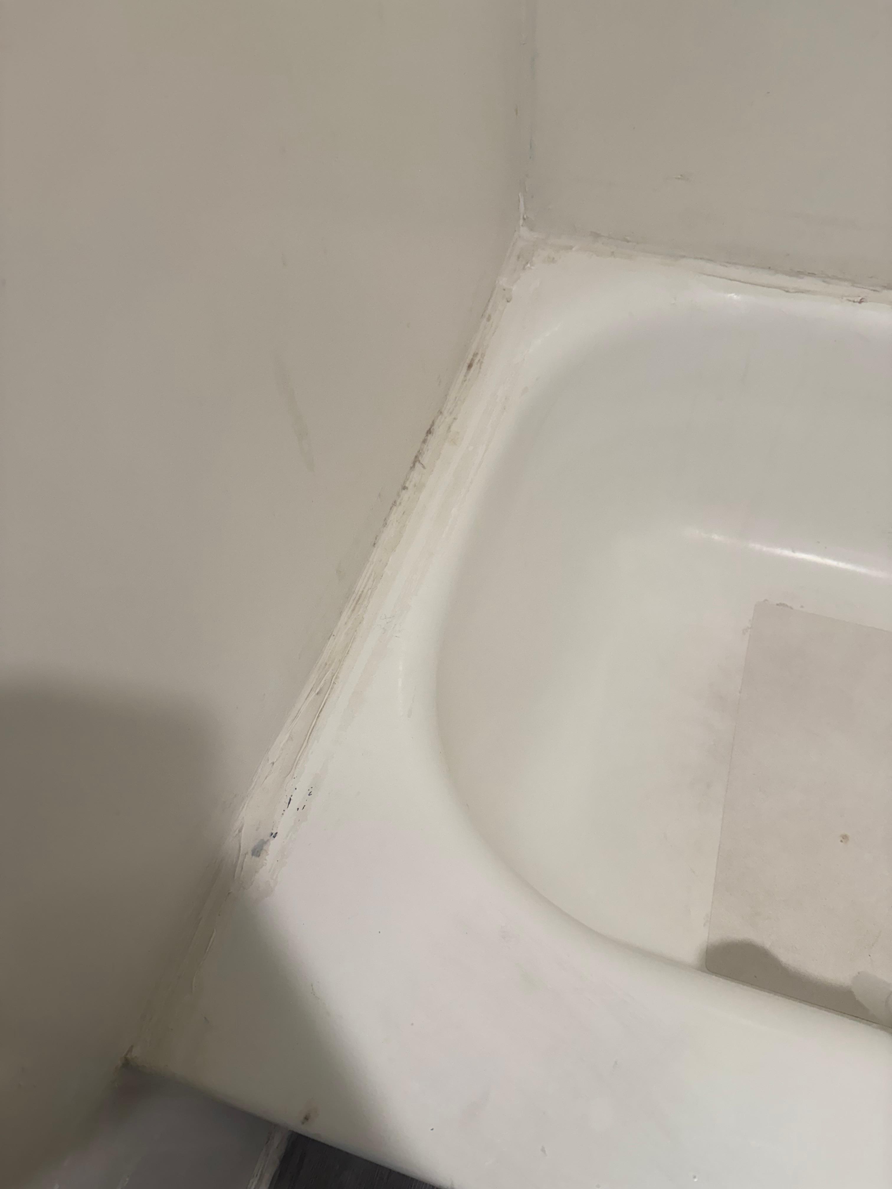 Mold in bathroom