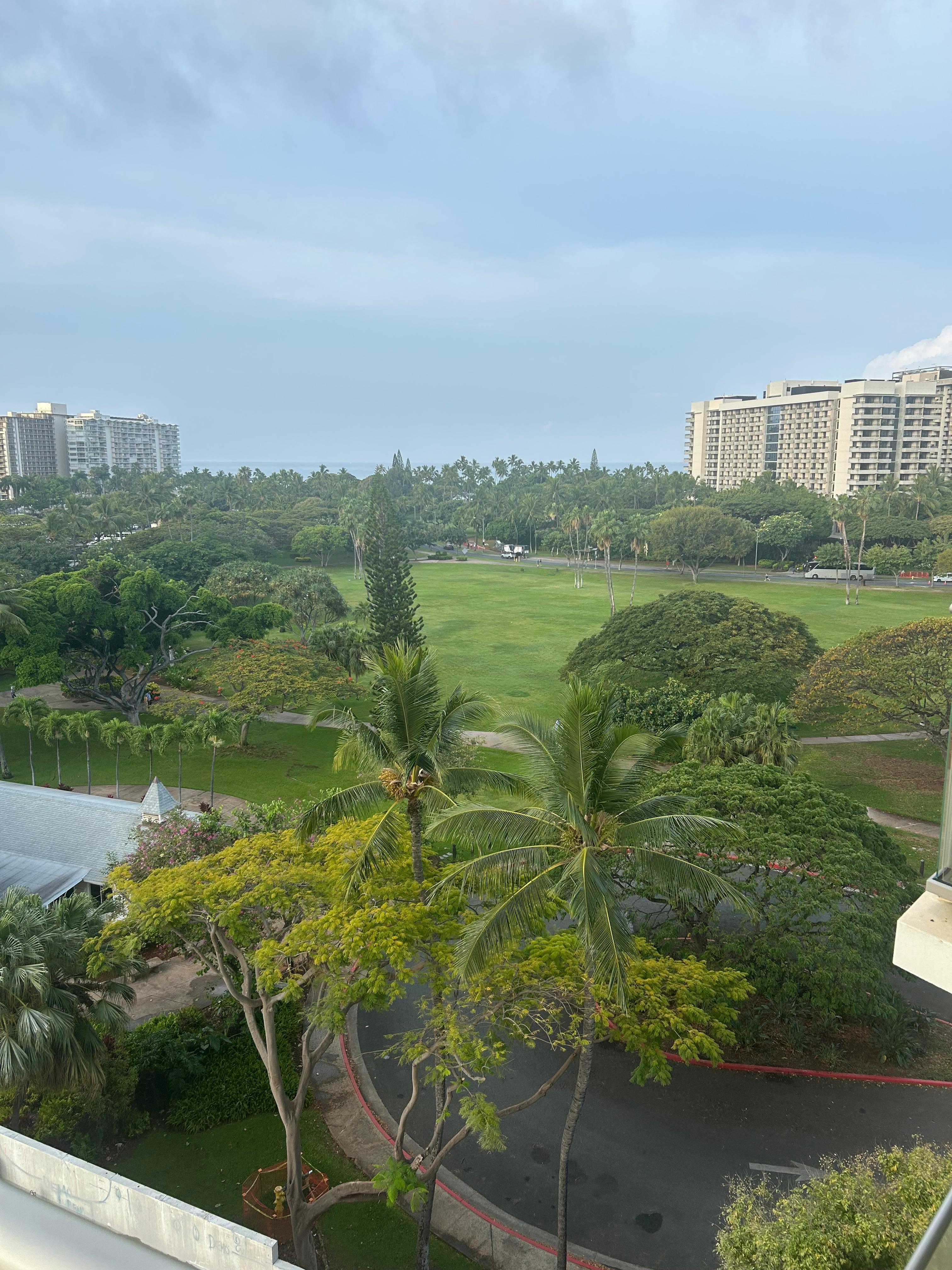 Room view