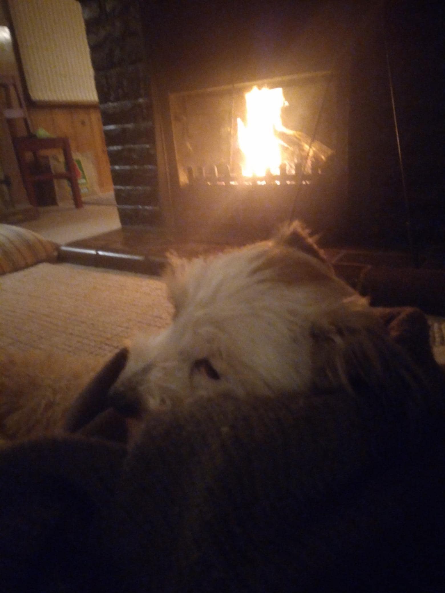 Cozy by the fire.
