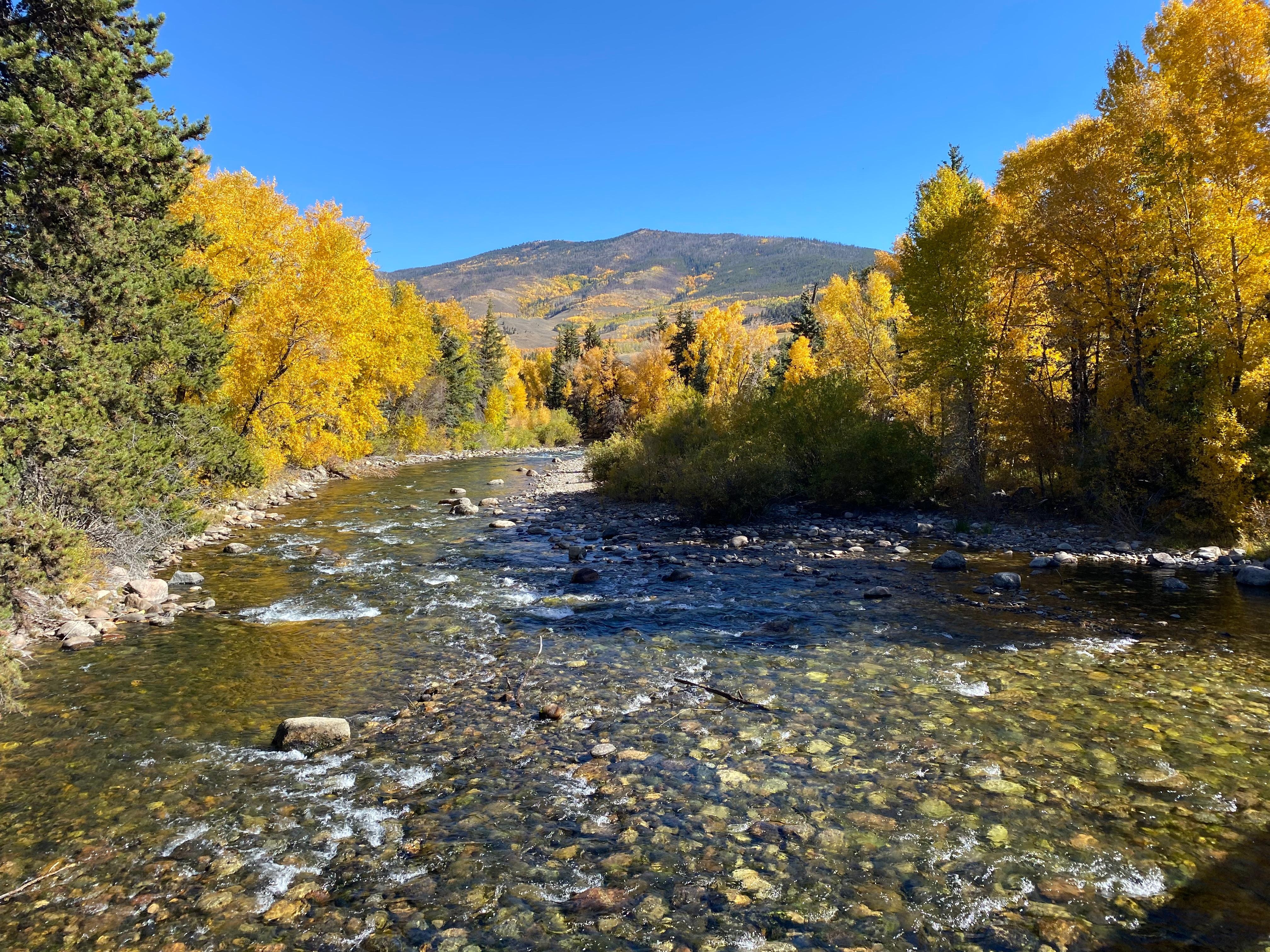 View down the Blue River