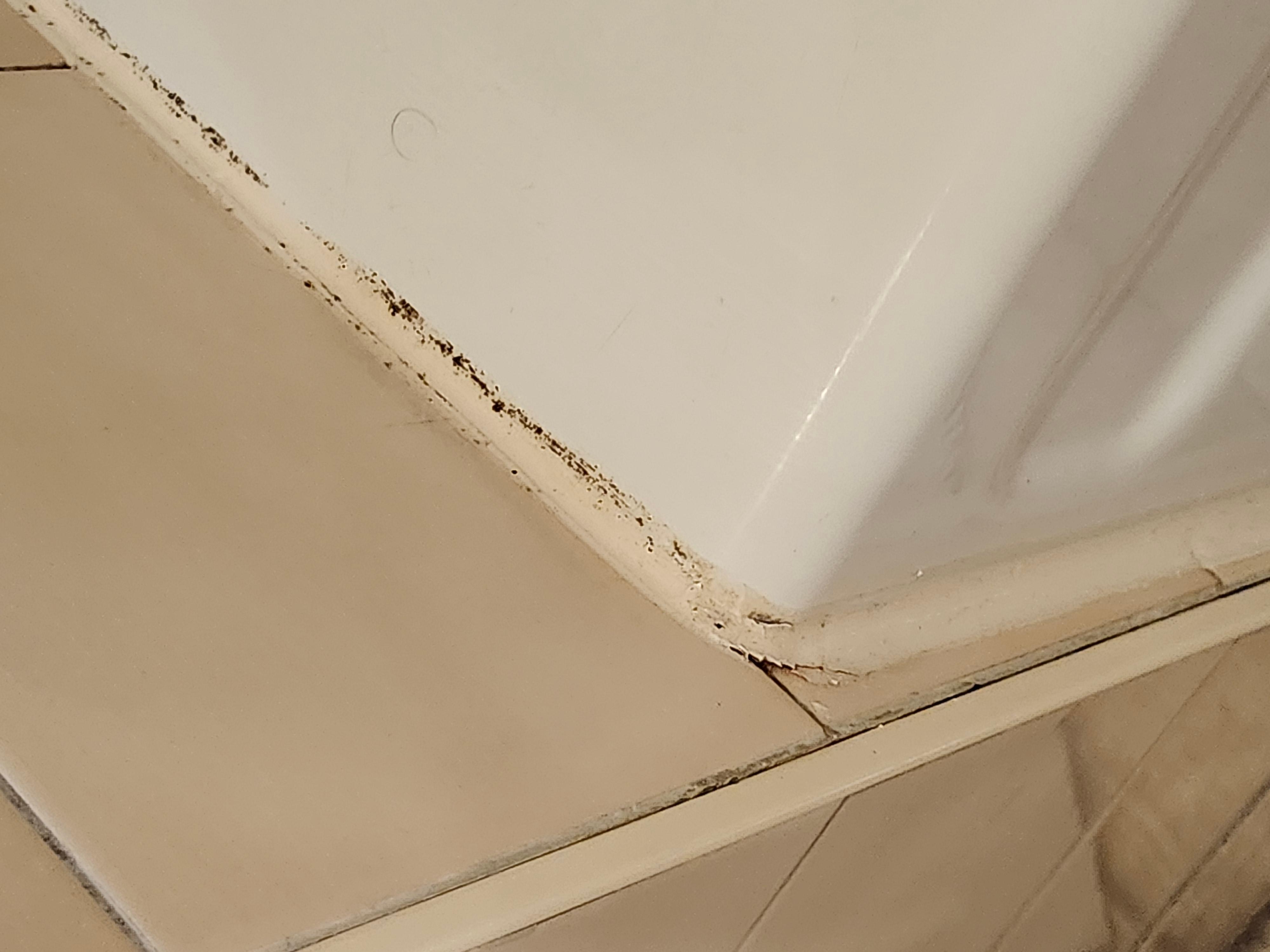 Mold around bath tub