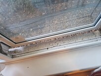 Dirty windowsill