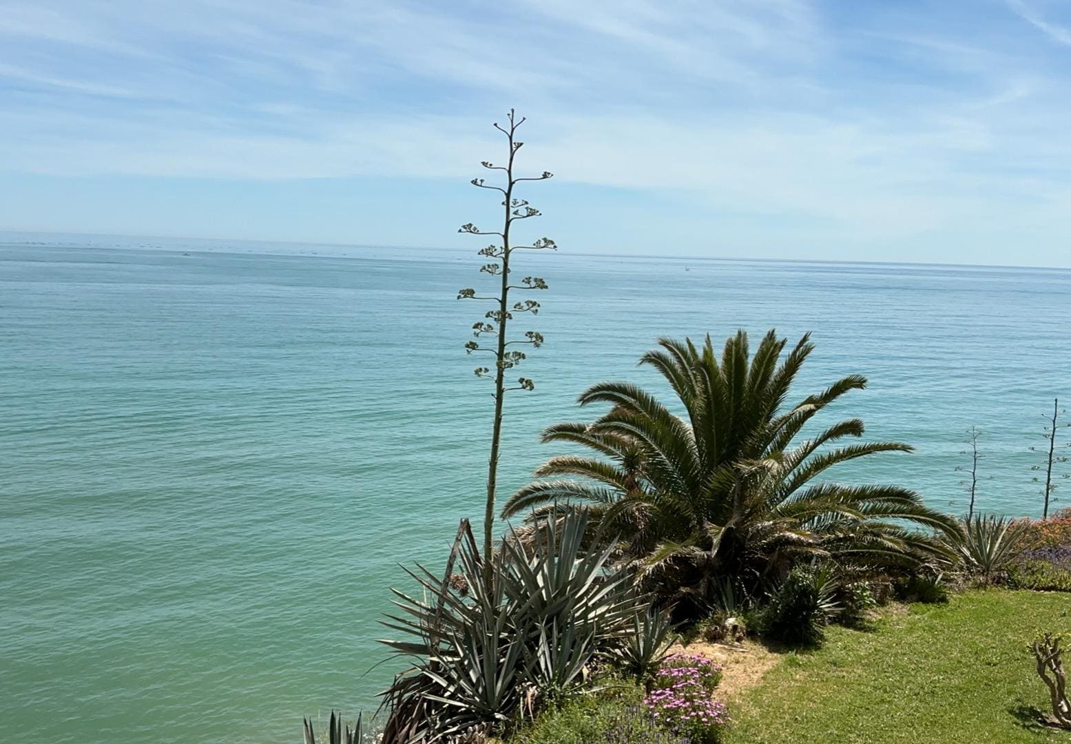 View from patio