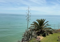 View from patio