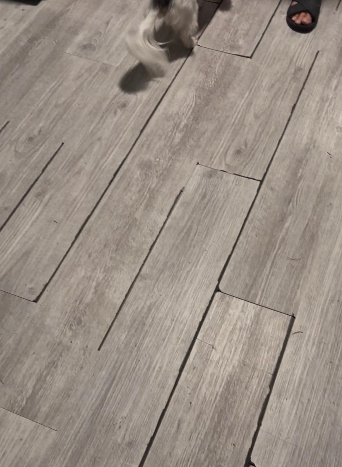 This was the flooring