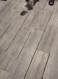 This was the flooring