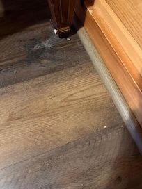 Dust bunnies, pet hair and unswept floors