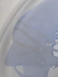 Dirty toilets that were not cleaned and cleaning product caked on over the dirt.