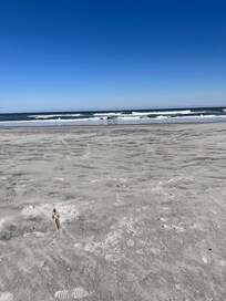 View from the end of beach walkway. Endless sand and sea!