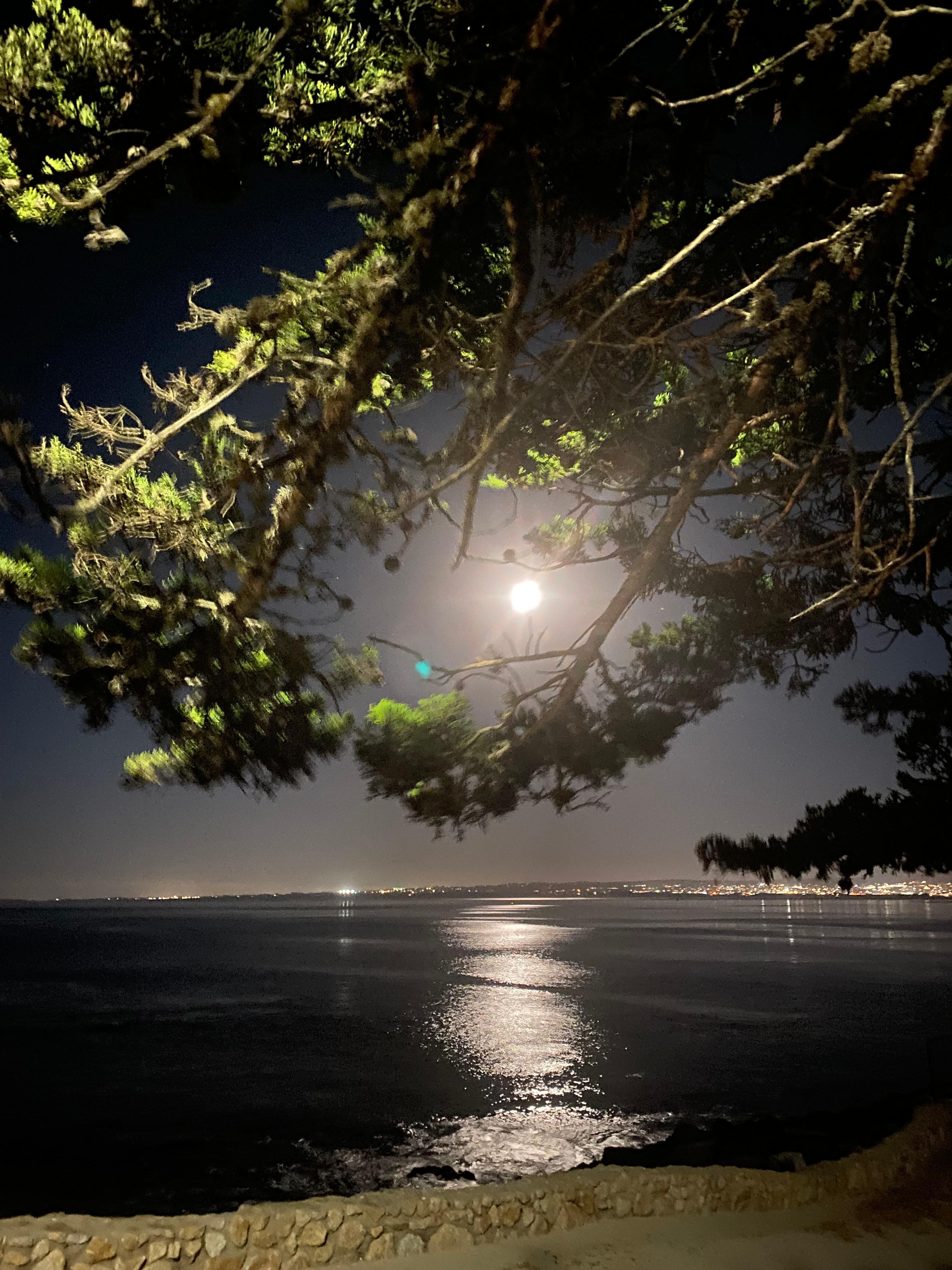 Harvest moon at Lover’s Cove