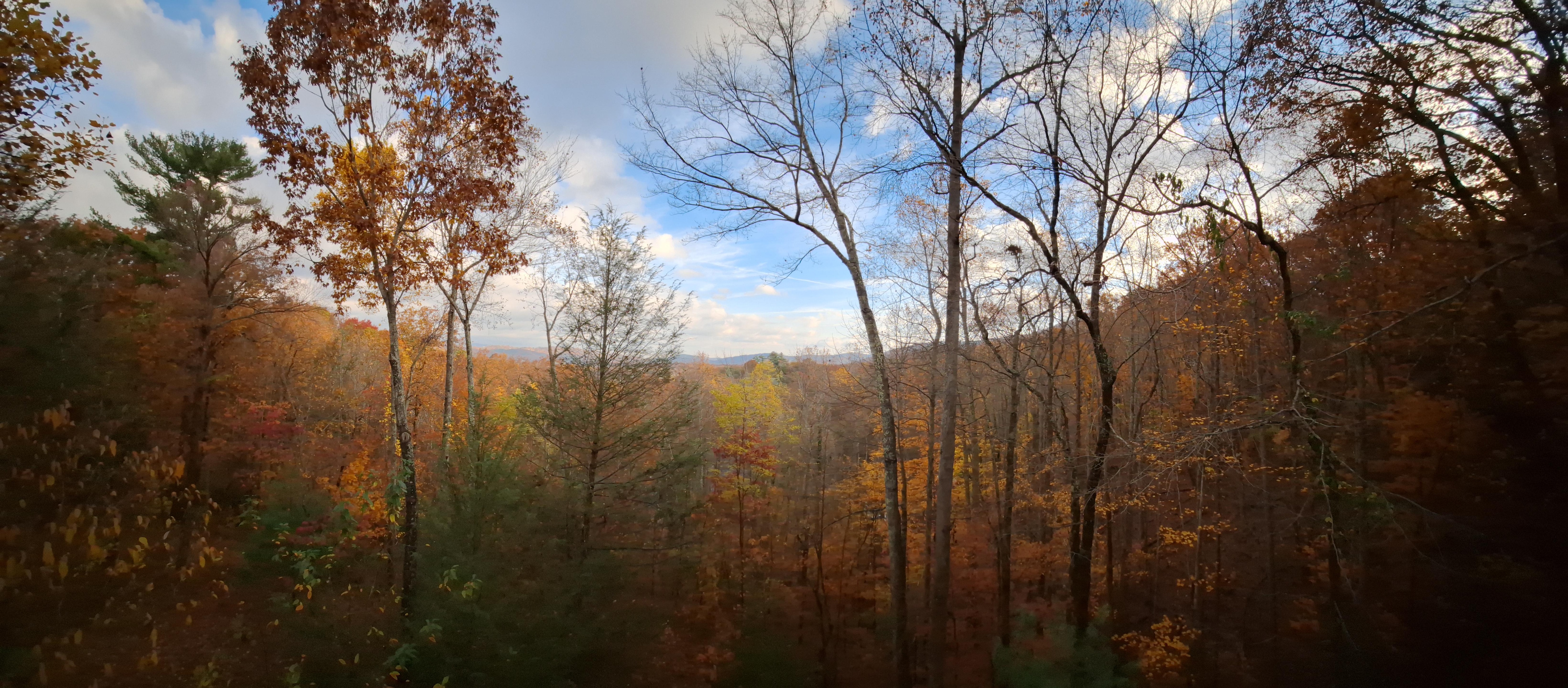 Morning sun from the cabin deck