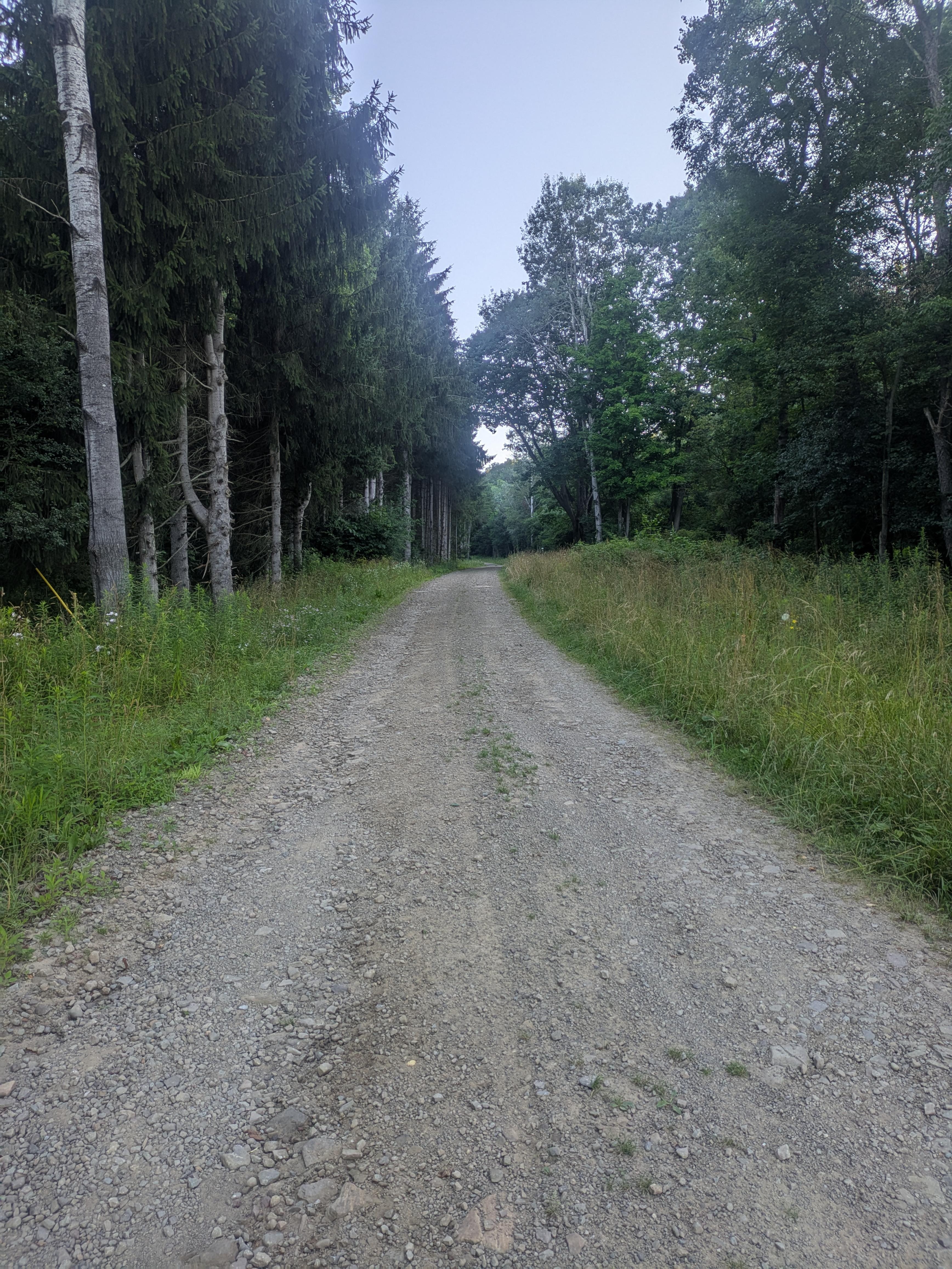 Trail