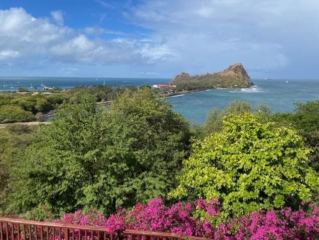 The morning view from the covered patio