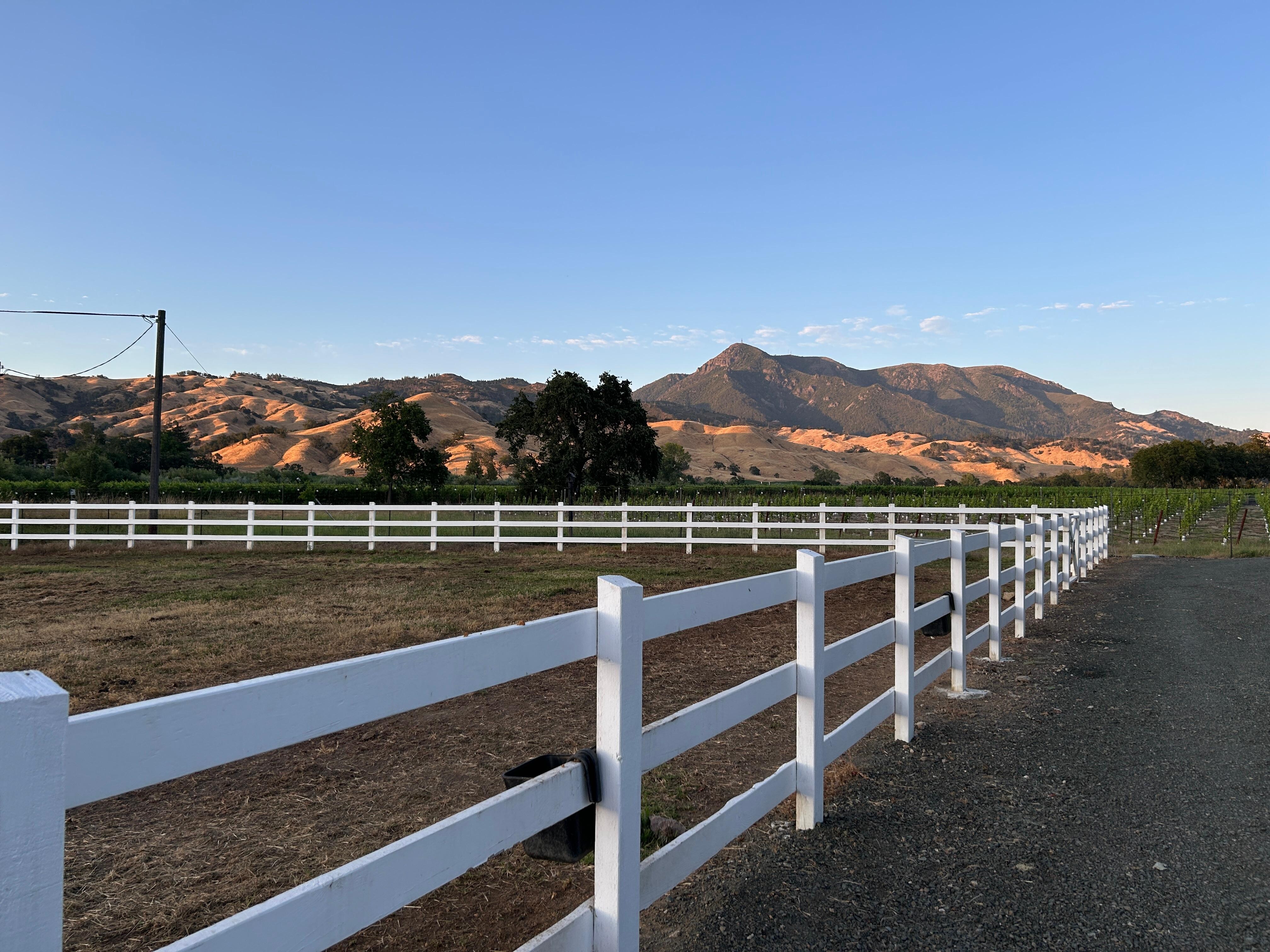 Evening light on the hills showcasing the quiet, wide-open beauty.