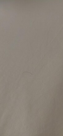 Was hairs at the bed when we open for fisrt time my room they dont have clean..blankets