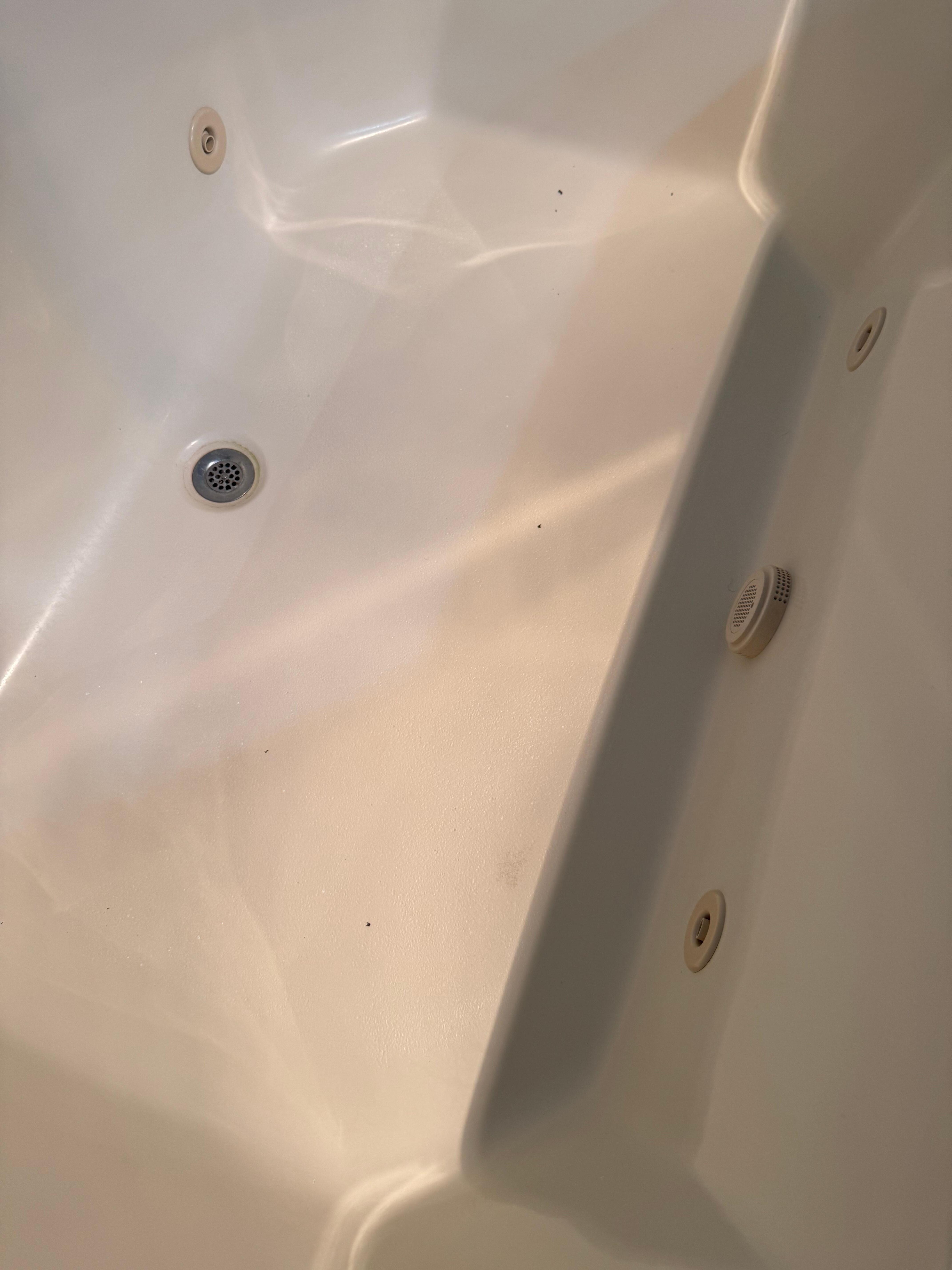 Dead bugs in the bath