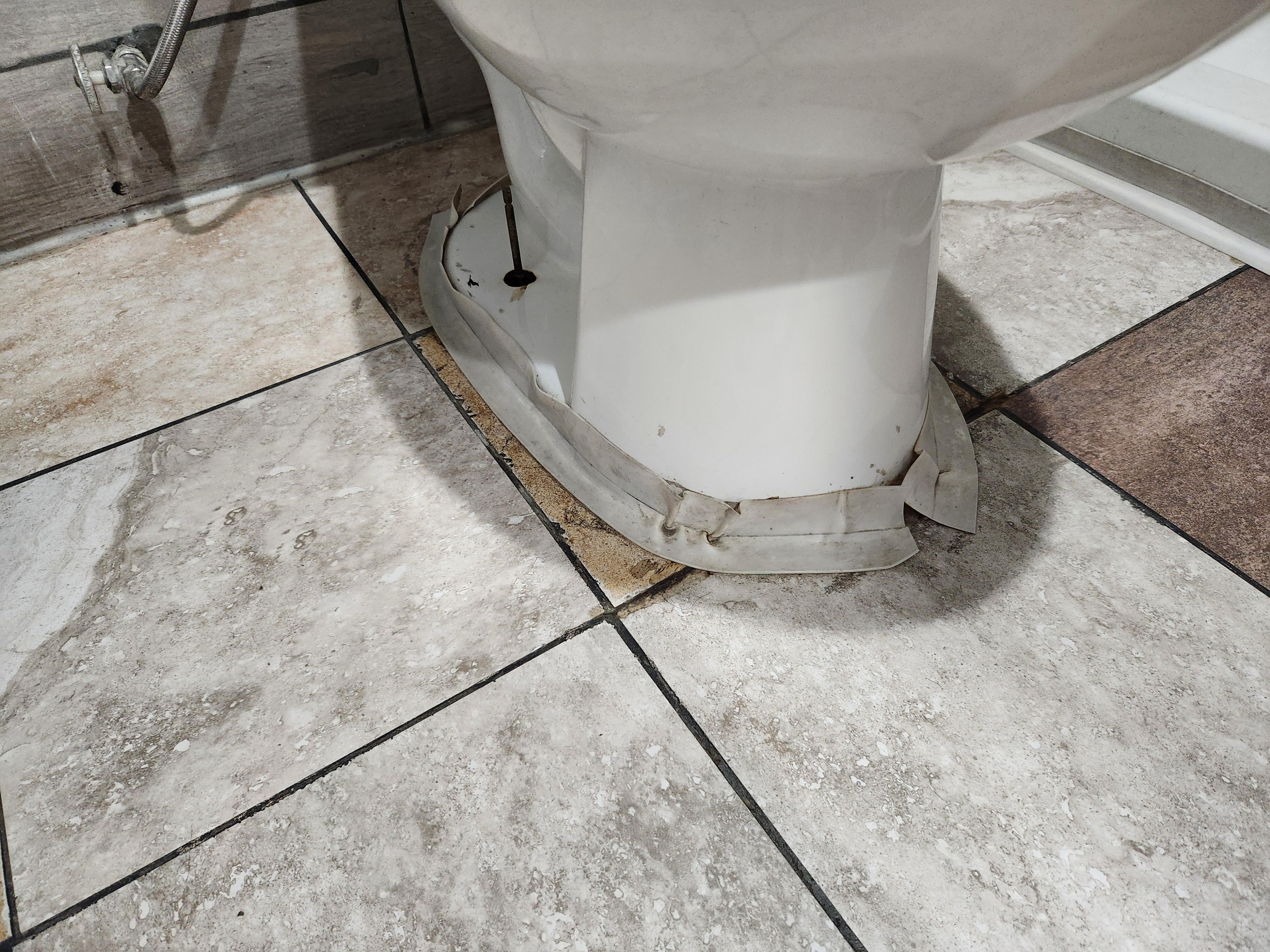 Disgusting toilet. The shower curtain was on the ground when I arrived but that's not even the biggest issue in here