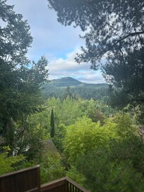 View from bedroom window!