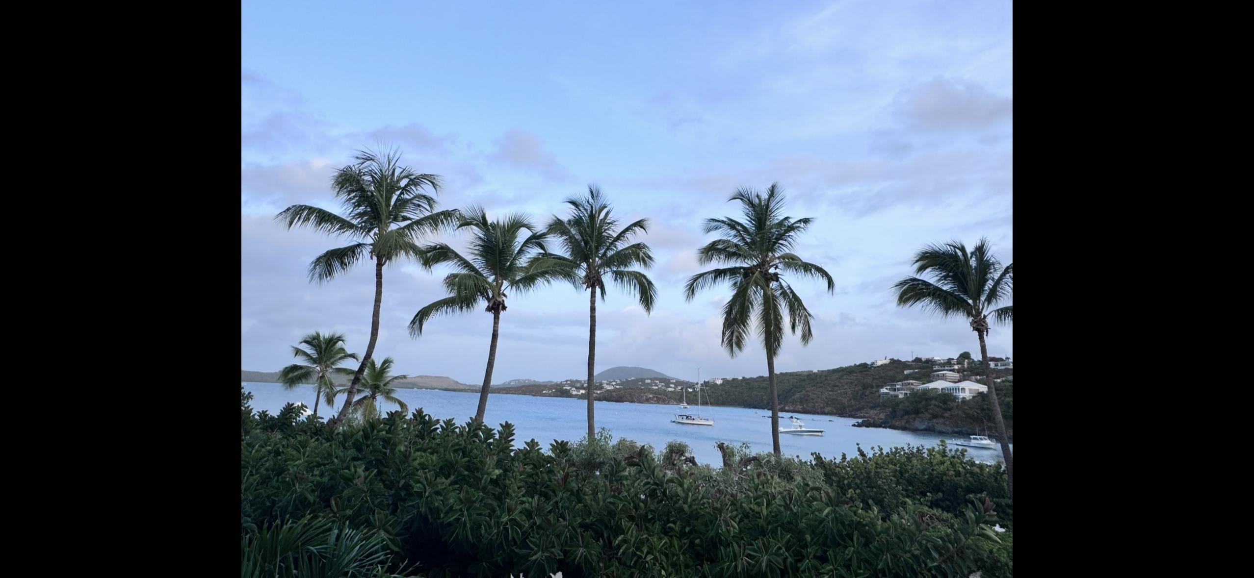 Morning from the balcony