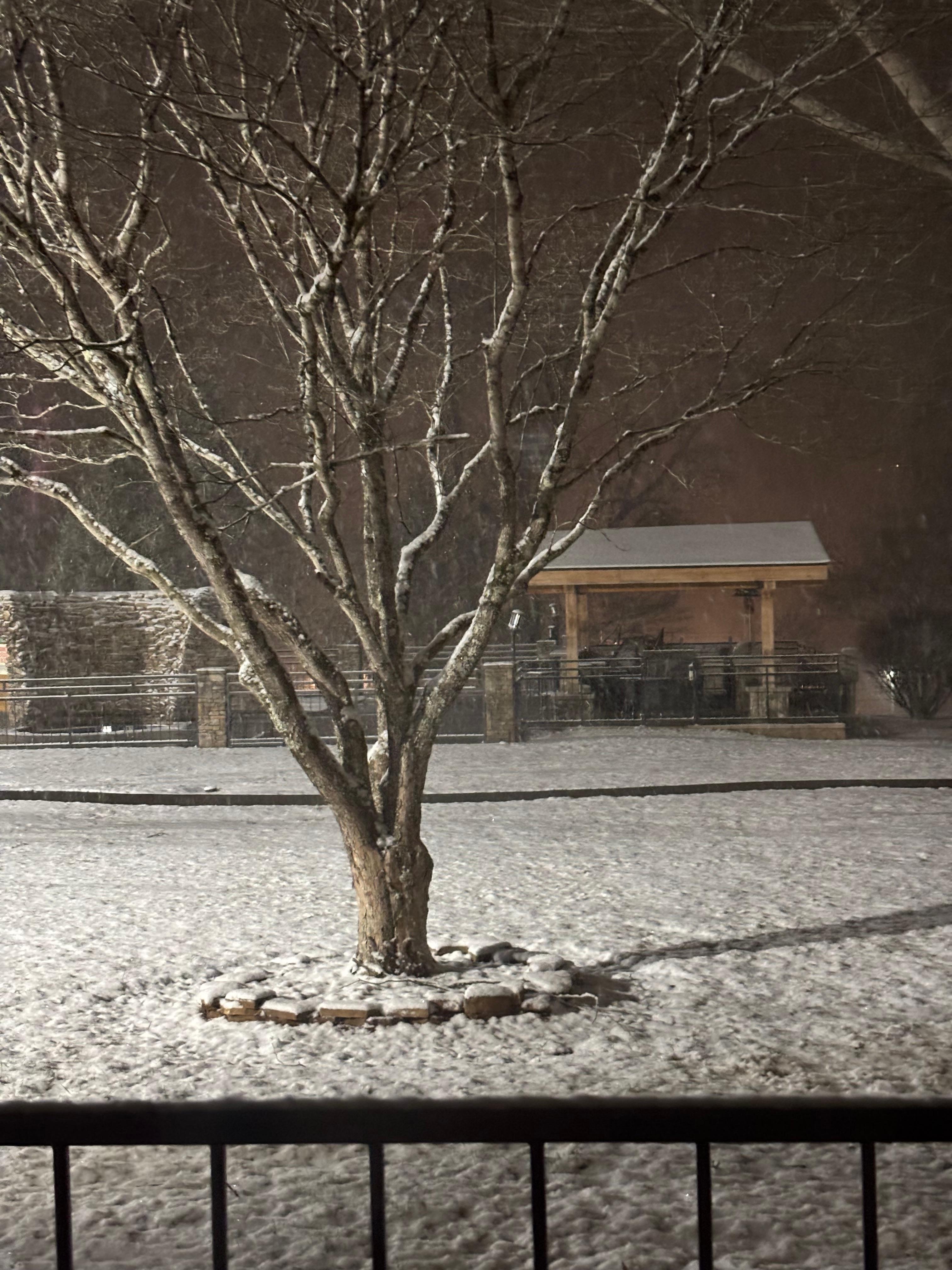 snow was a bonus, beautiful