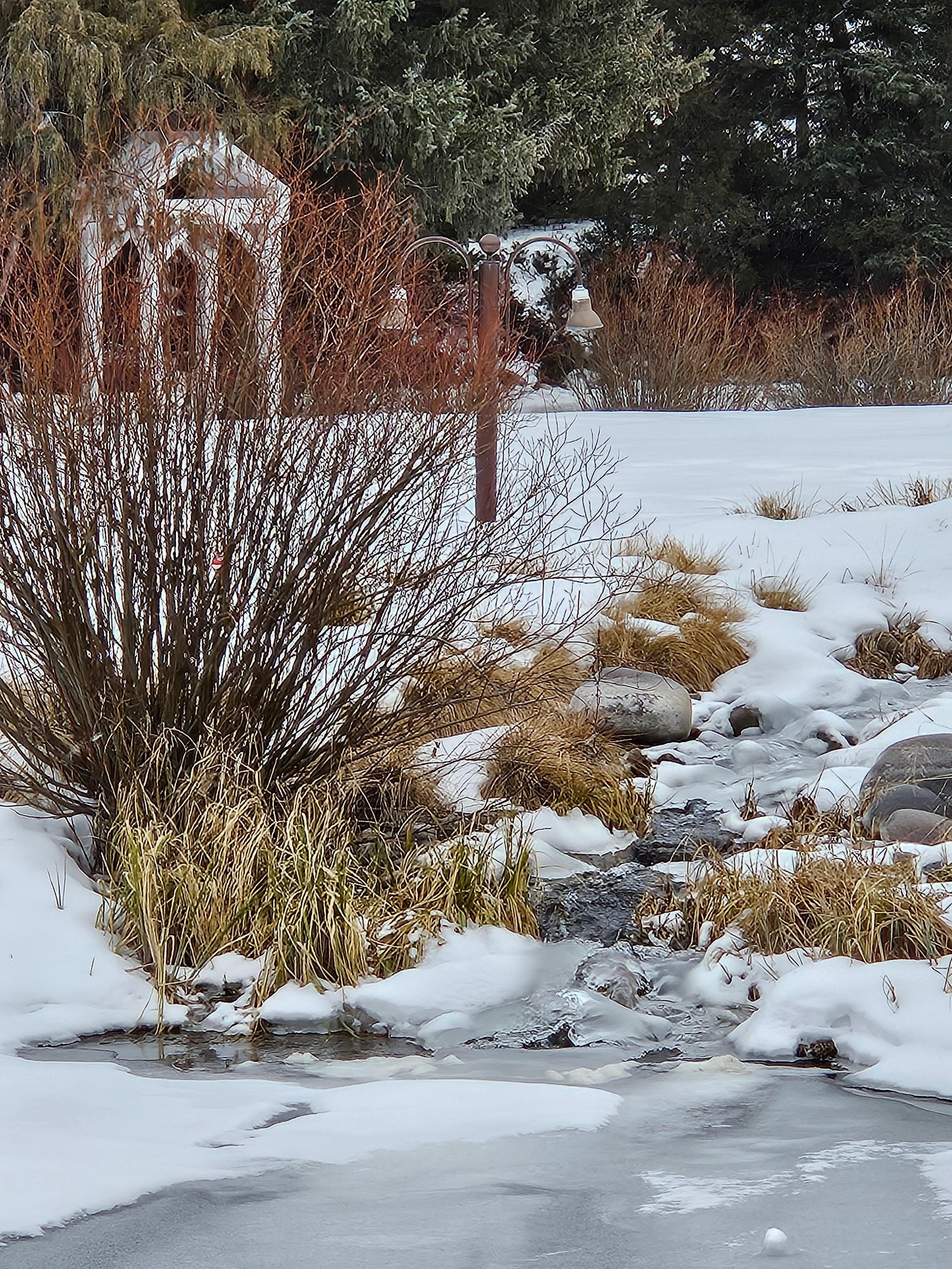 View from our porch (babbling brook)