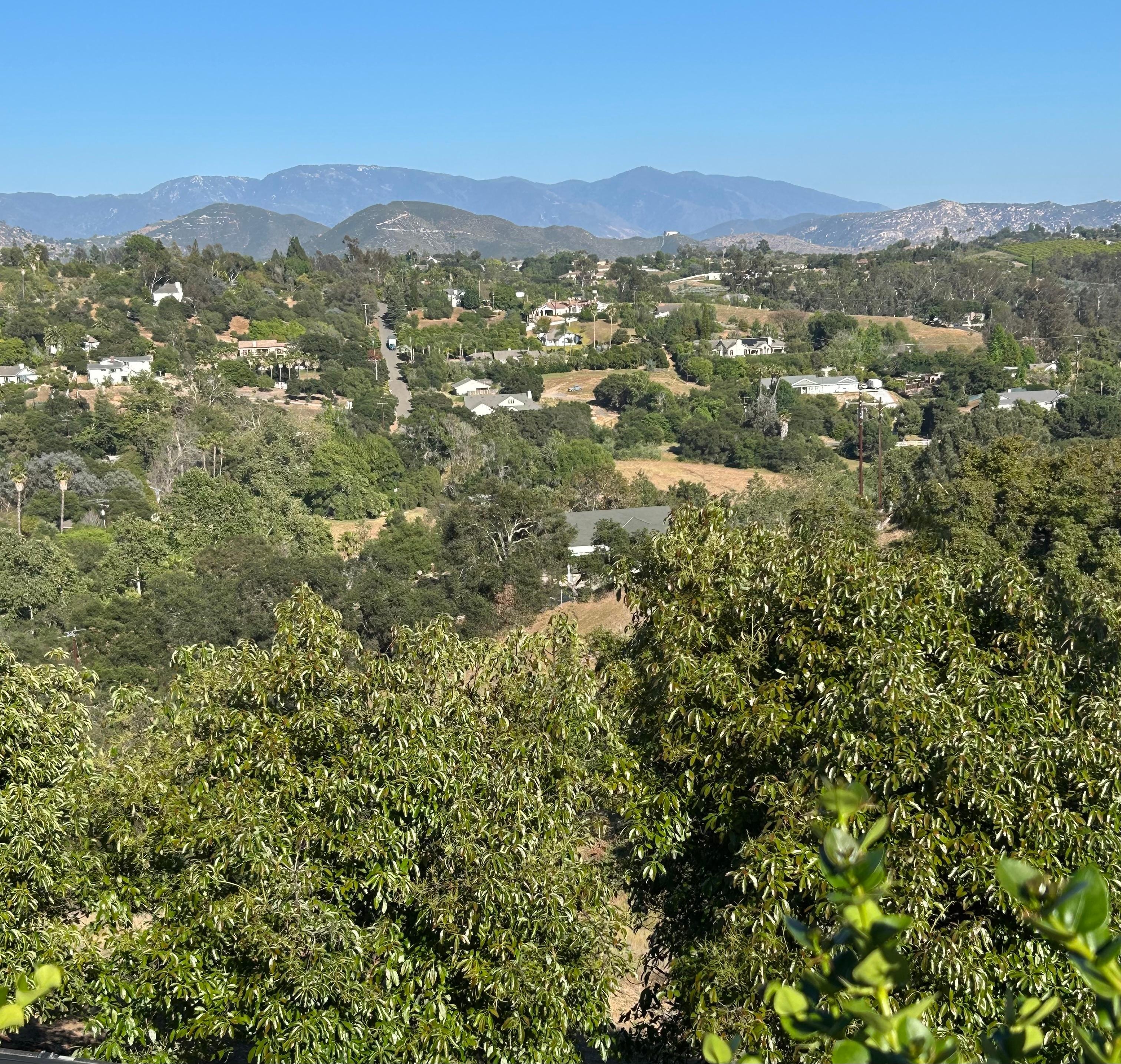 Beautiful view of the area from the backyard