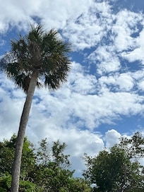 Perfect weather