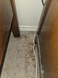 Carpet in Master Bedroom - Vomit?