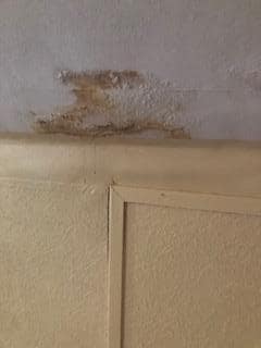 moisissure, infiltration chambre