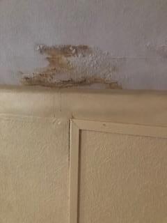 moisissure, infiltration chambre