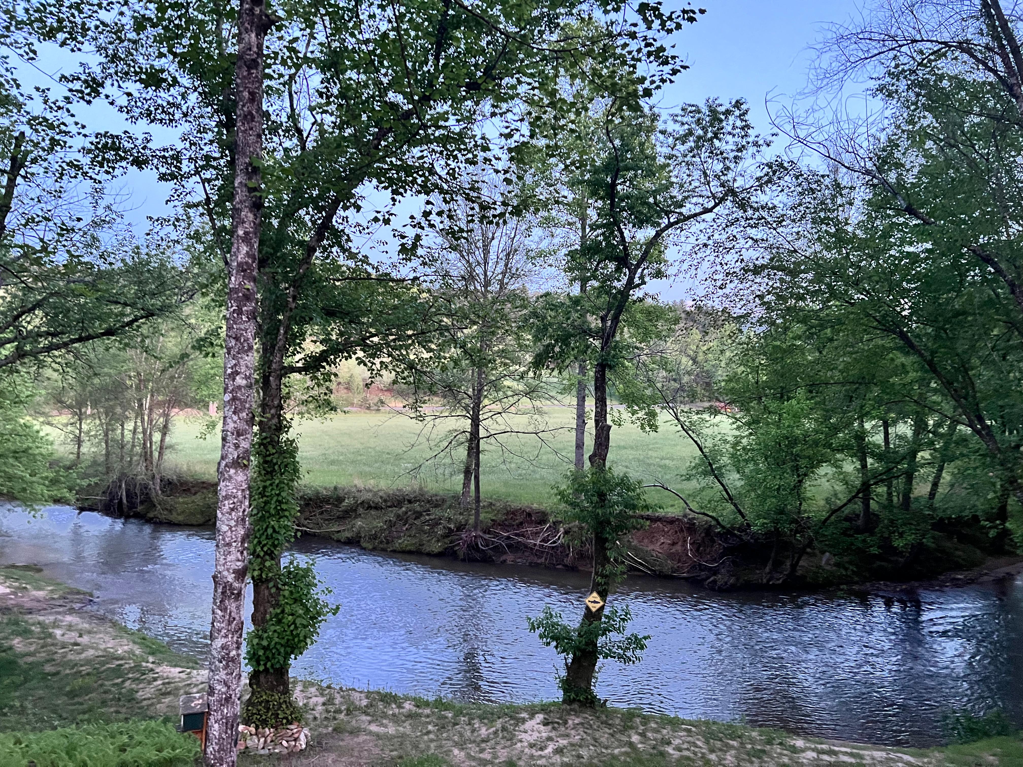 Such a lovely view