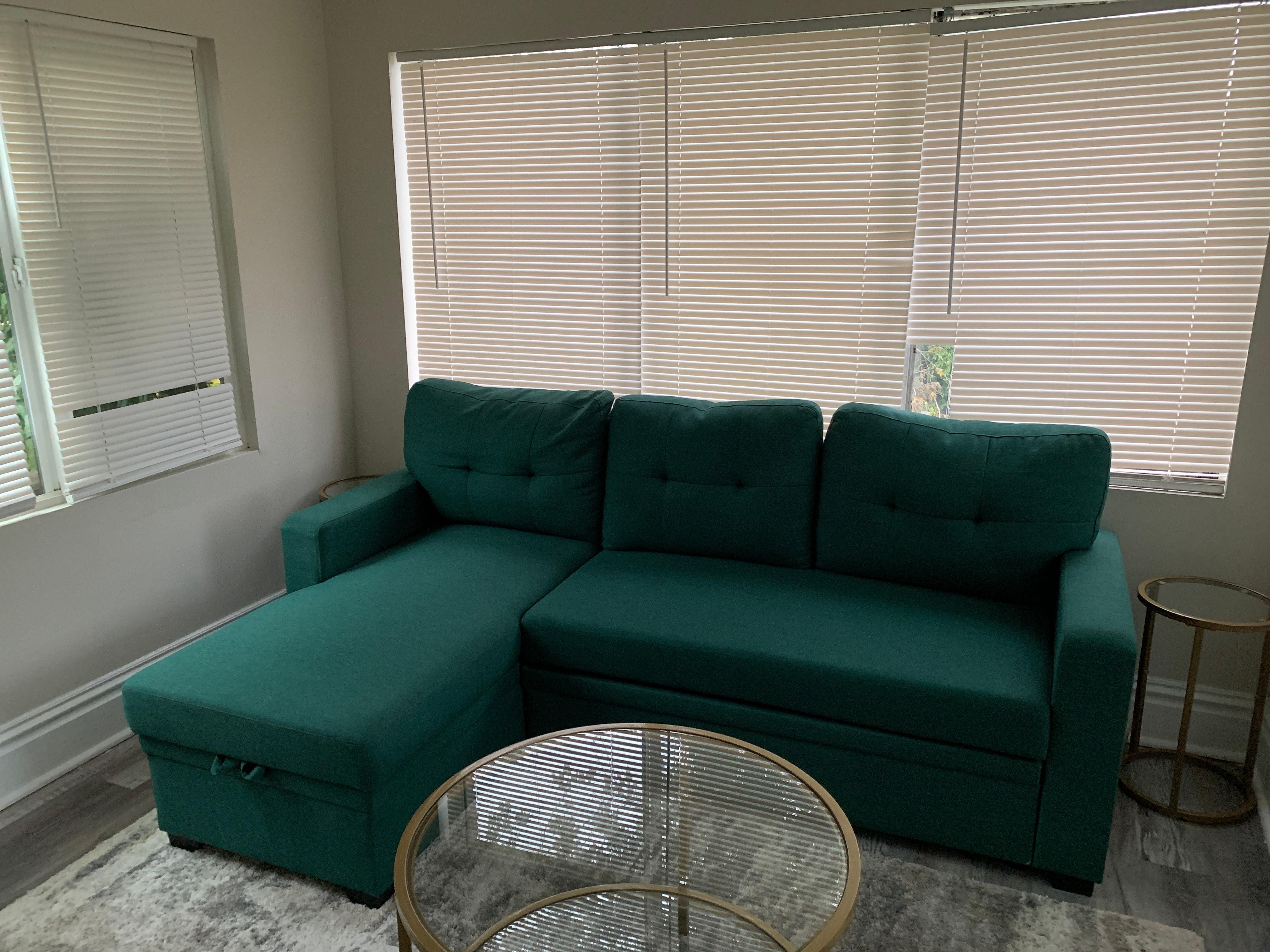 Broken blinds and this is the room with the couch sofa that ended up full of wasps