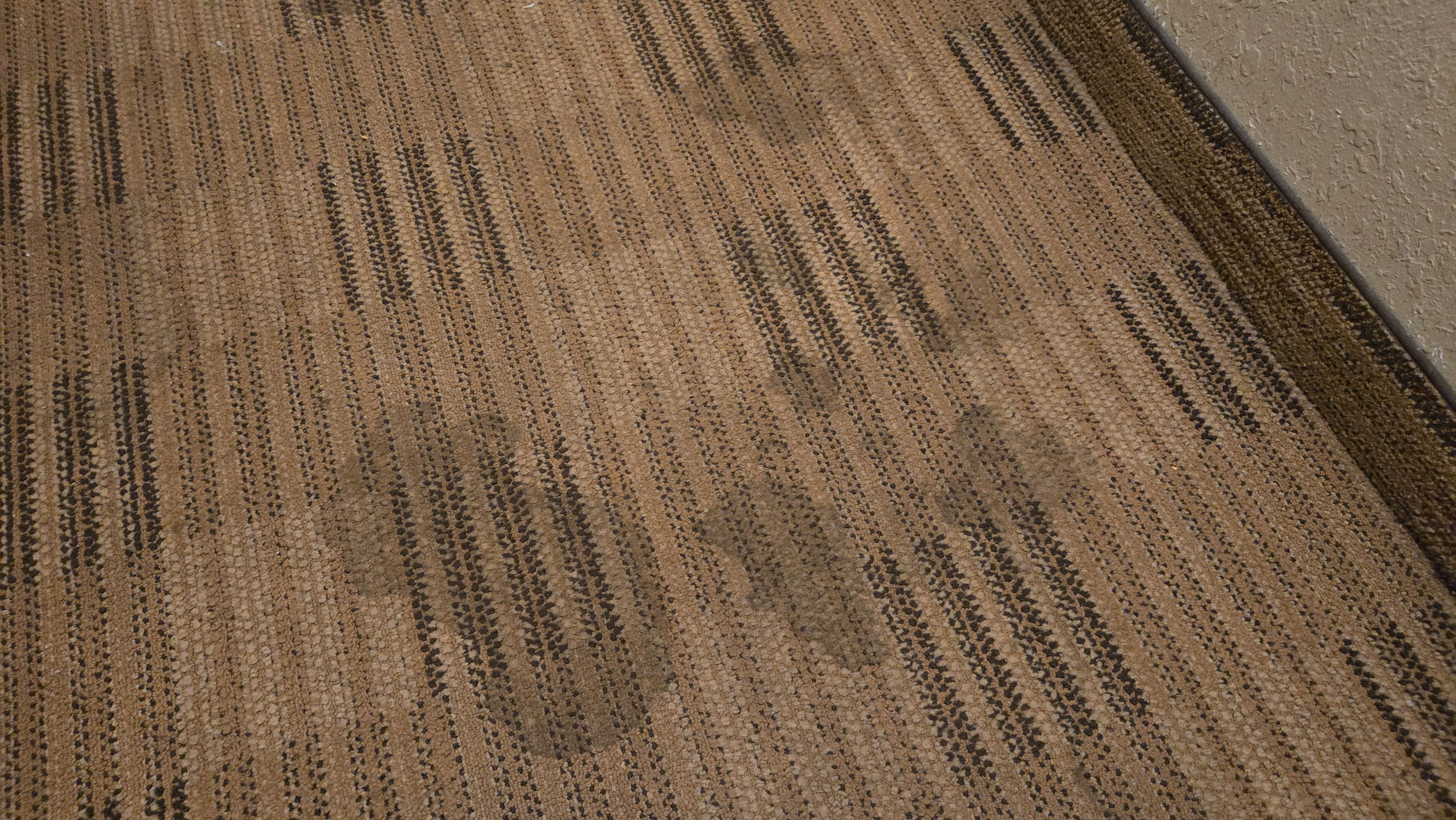 numerous stains on the carpet