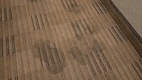 numerous stains on the carpet