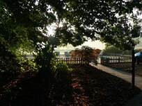 Front yard of the cottage