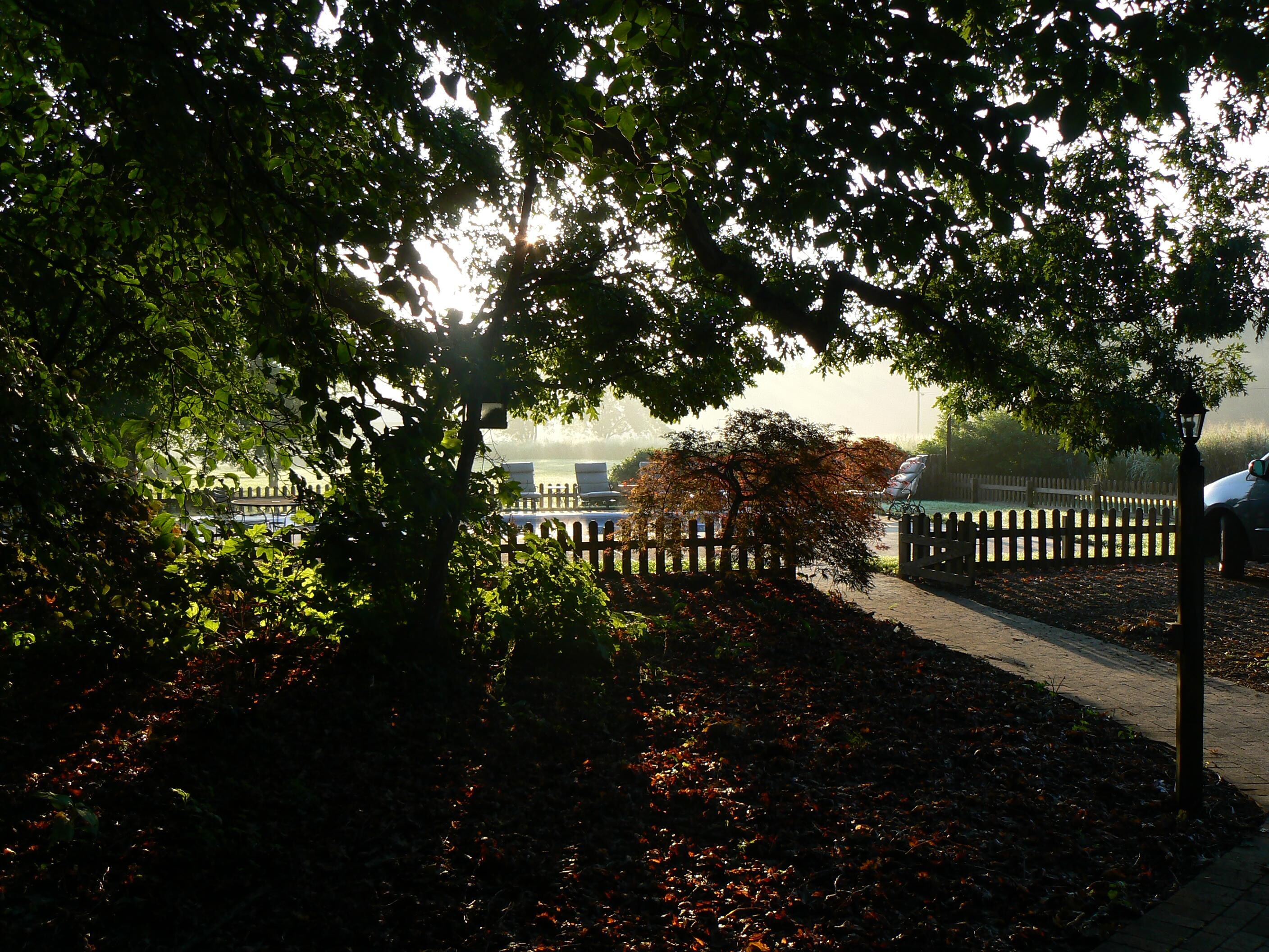 Front yard of the cottage
