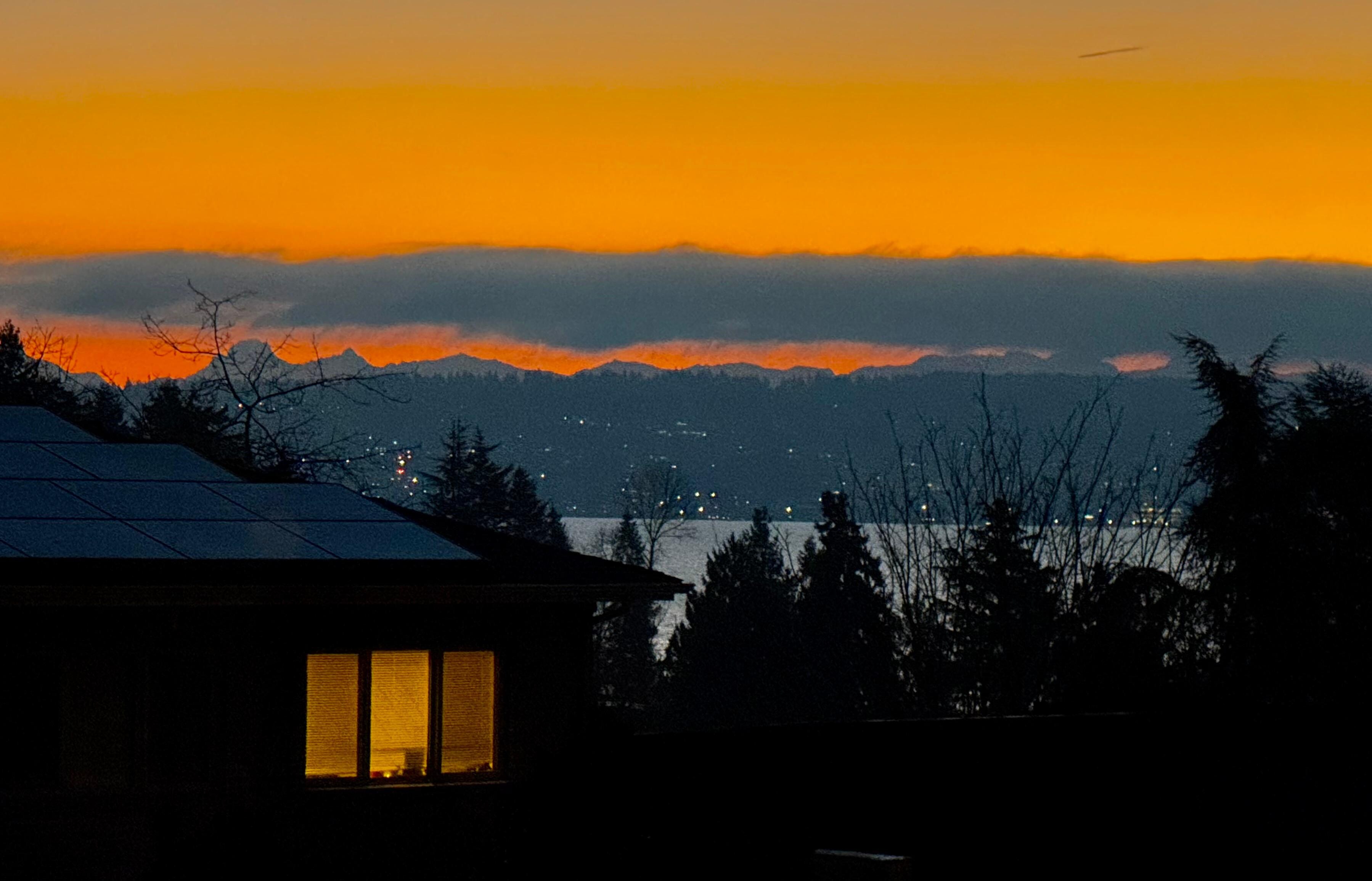 Morning view from living room