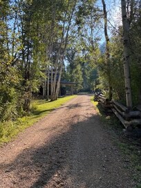 Driveway into cabin