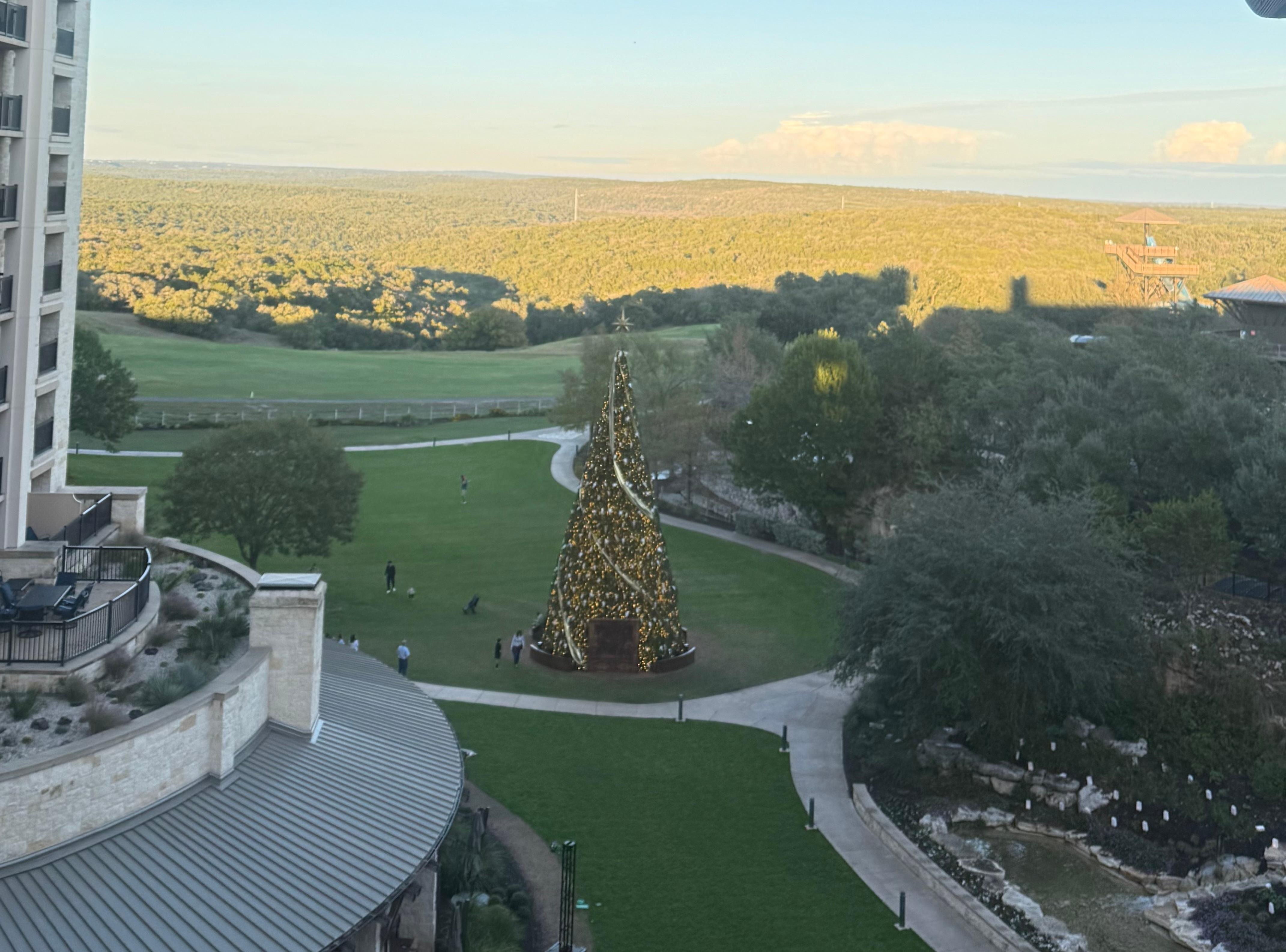 View from the room. 7th floor 