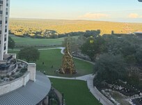 View from the room. 7th floor