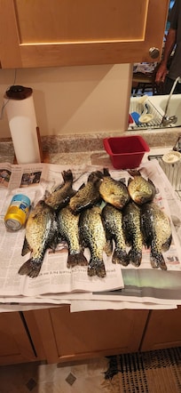 Not found in Baby Lake