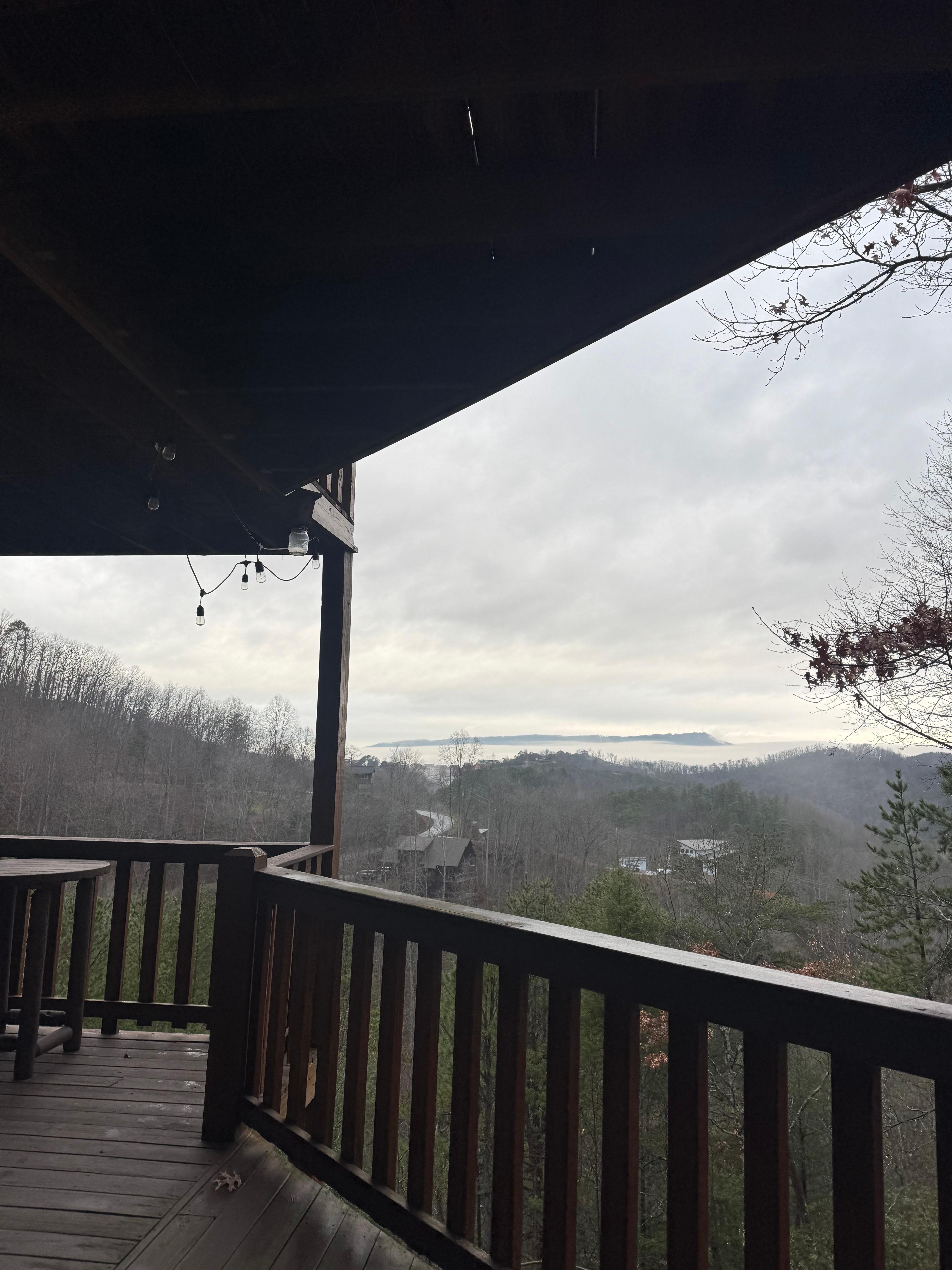 View from patio near hot tub 