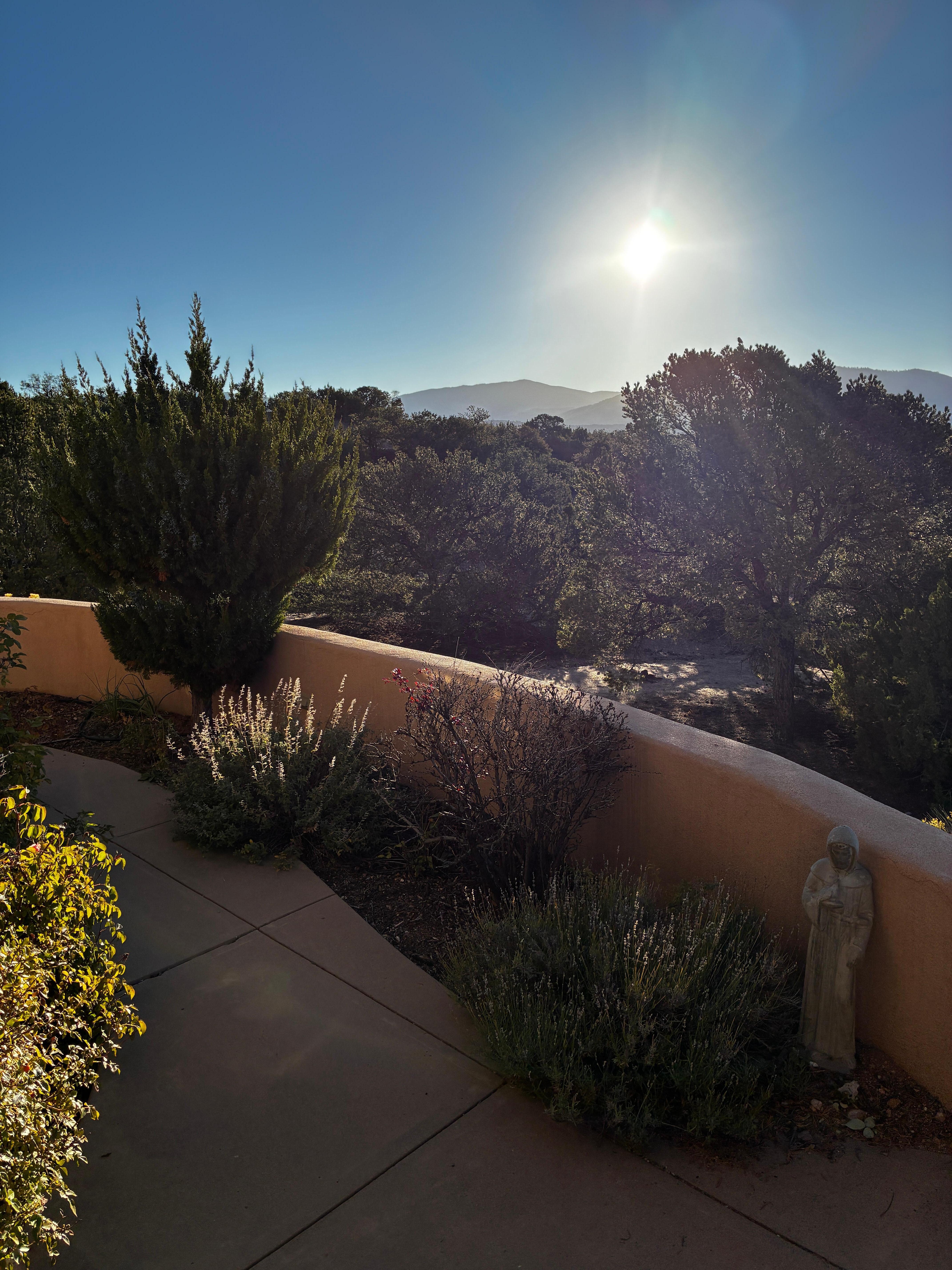 Morning sun from patio