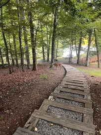 One set of steps going down to the lake.