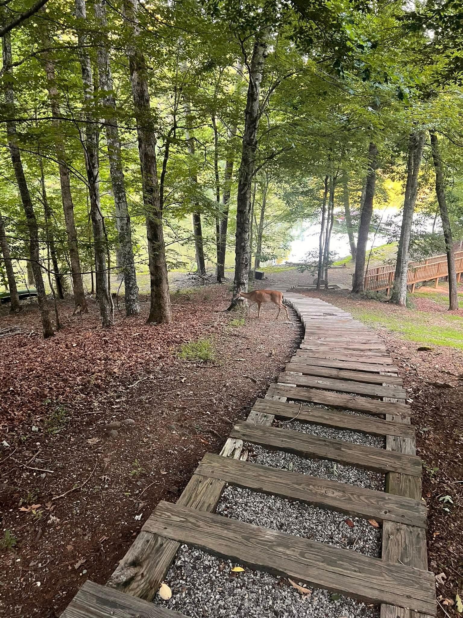 One set of steps going down to the lake.