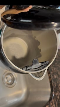 The electric kettle was filled with lime and water.
