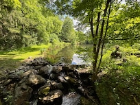 From the bridge over the stream